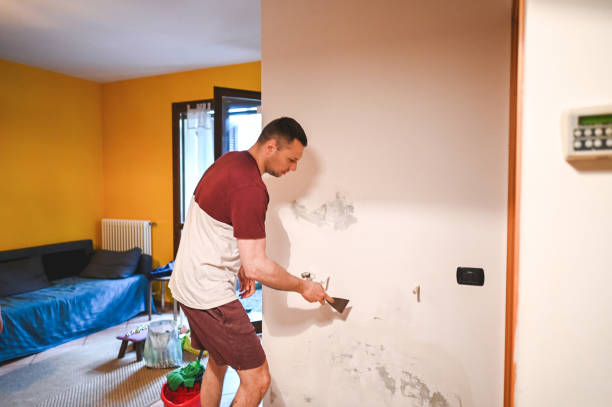 Best Basement Mold Remediation in Lake Magdalene, FL