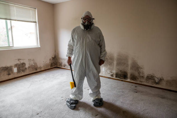 Best Mold Remediation for Specific Building Types in Lake Magdalene, FL